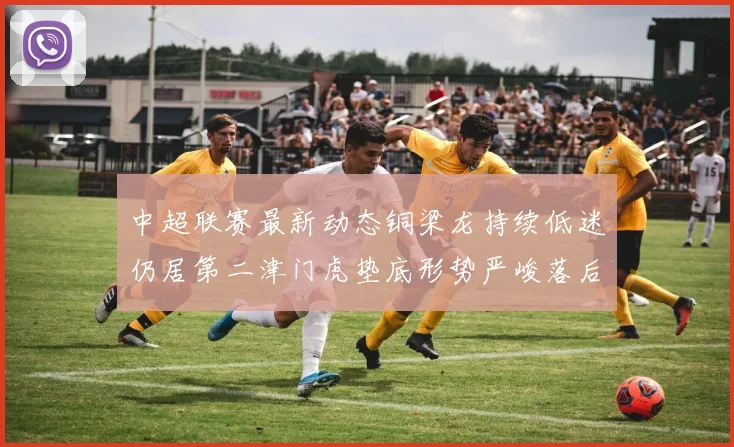 中超联赛最新动态铜梁龙持续低迷仍居第二津门虎垫底形势严峻落后安全区九分